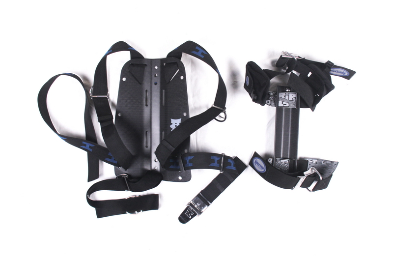 GEMINI Desgin Wing BCD Back Plate Dry Carbon Fiber in Plain Weave Matte Finish